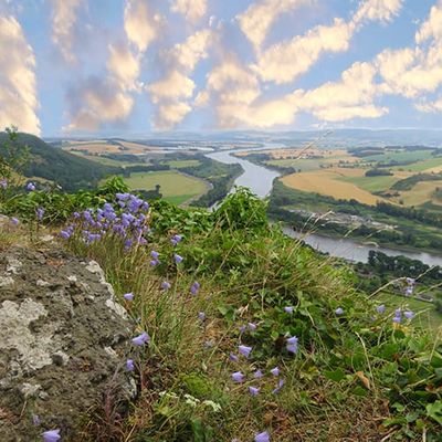 KINNOULL HILL WOODLAND PARK
