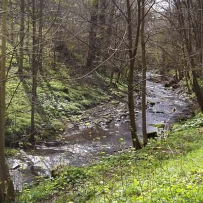 QUARRYMILL WOODLAND PARK