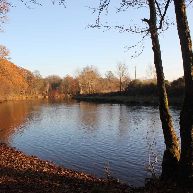 Lady Mary's Walk, Crieff Scotland
